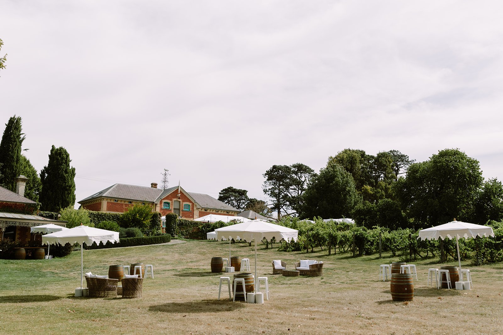 Grape vines sit to the right of a a grassy area, where tables have been set up, using old wine barrels, white stools and white scalloped umbrellas. In the background St Agnes Homestead looks over the area. This was the setting of the cocktail hour for a wedding curated by Coral & Co.