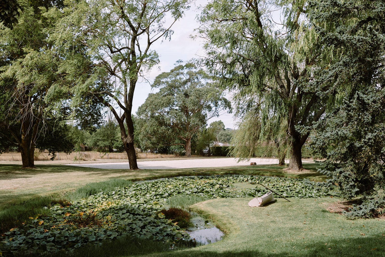 Lush green and yellow lily-pads float in a pond, next to green grass with an old white rowing boat sitting near the bank of the pond. Tall trees surround the setting, which provided a unique backdrop for Alise and Billy's wedding, styled by a Melbourne event company. 